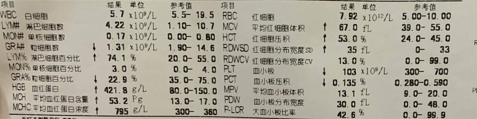 小猫拉稀的治疗办法——简单可操作的解决方案（小猫拉稀的原因和常见治疗方法）