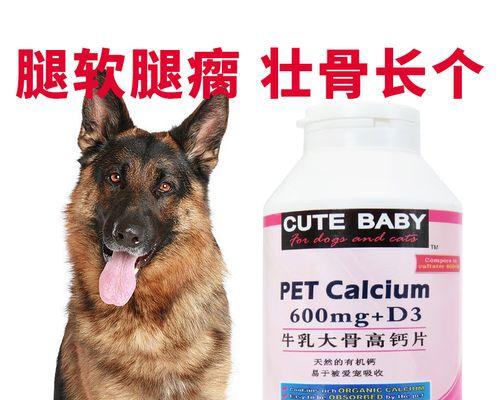 探秘德国牧羊犬耳朵的立与不立之谜（以德国牧羊犬耳朵为例，揭开动物耳朵形态的奥秘）