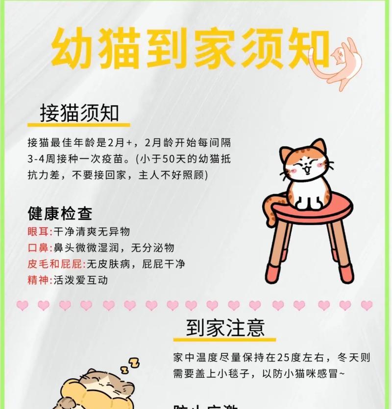 如何正确给家猫洗澡？有效助猫咪保持整洁的小技巧（铲屎官分享养猫小技巧，让猫咪爱洗澡不再烦恼）