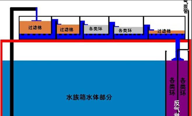 如何正确清洗鱼缸过滤器？（科学方法让你的鱼缸过滤器更健康）