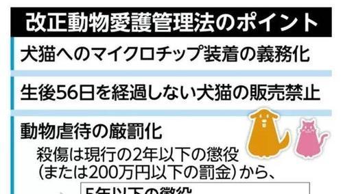 关于流浪猫狗的安乐死问题（为什么不选择给患有严重病残的流浪猫狗施行安乐死？）