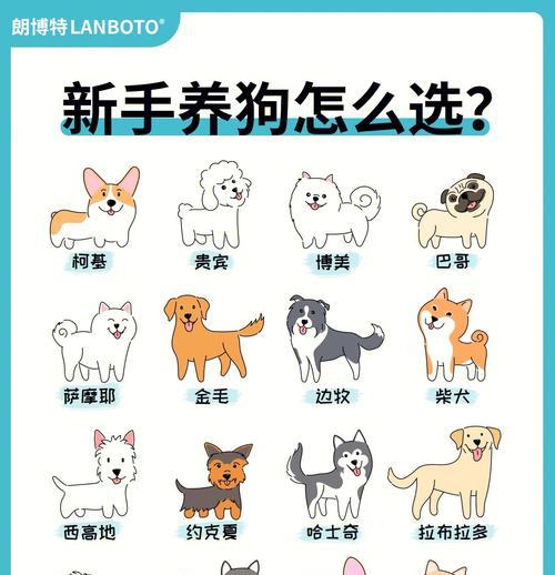 如何处理泰迪犬吃多了的情况？（养成良好的饮食习惯，避免泰迪犬暴饮暴食）