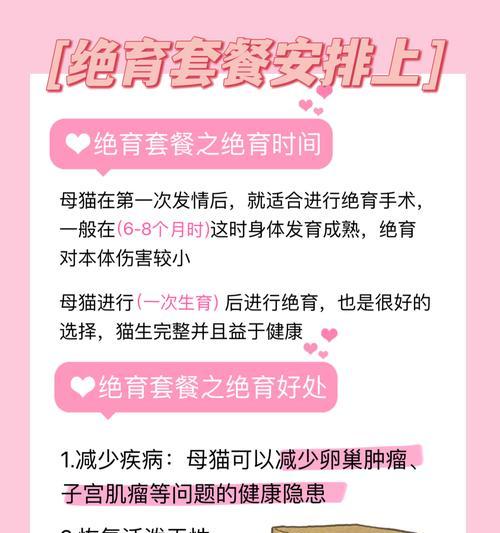 关于猫咪流产的预防及注意事项（了解猫咪流产的原因与预防方法，守护母猫的健康）