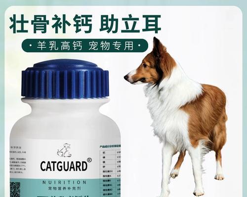 苏格兰牧羊犬与喜乐蒂（探究苏牧和喜乐蒂牧羊犬的特点和区别）