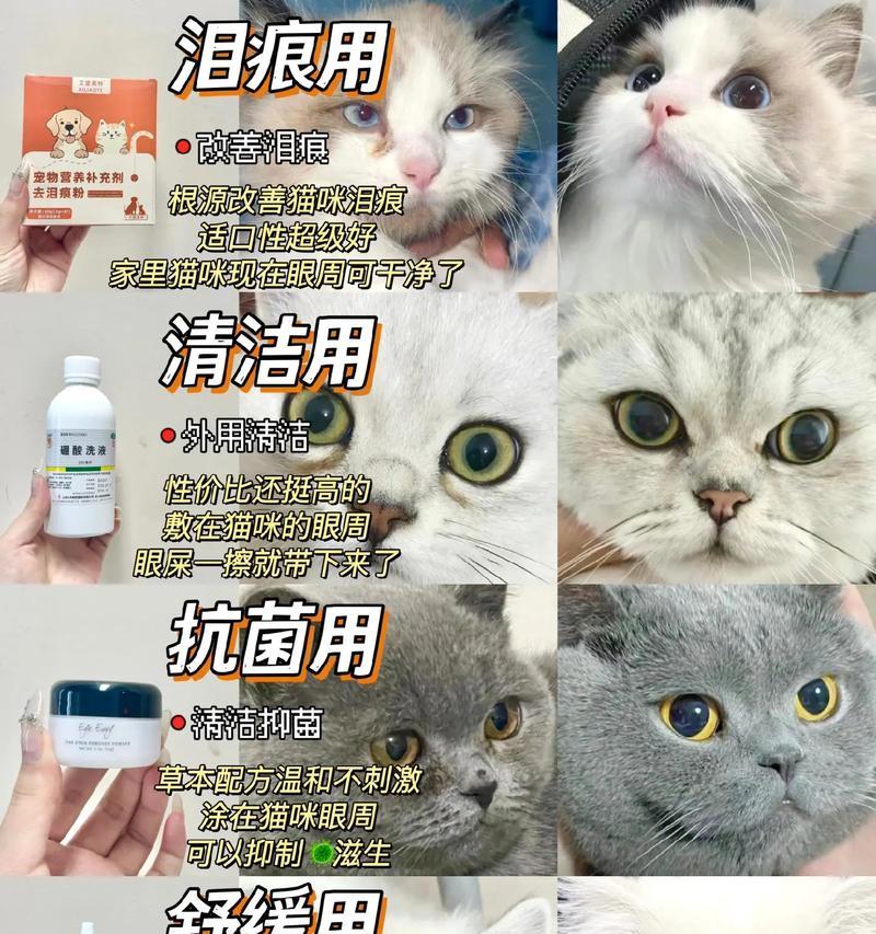 揭秘猫咪泪痕之谜（探究猫咪泪痕的成因与治疗方法）