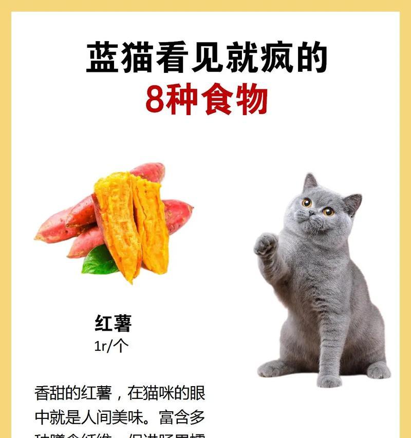 猫咪的健康与补品（为你的猫咪提供天然健康支持，保持身体健康的关键）