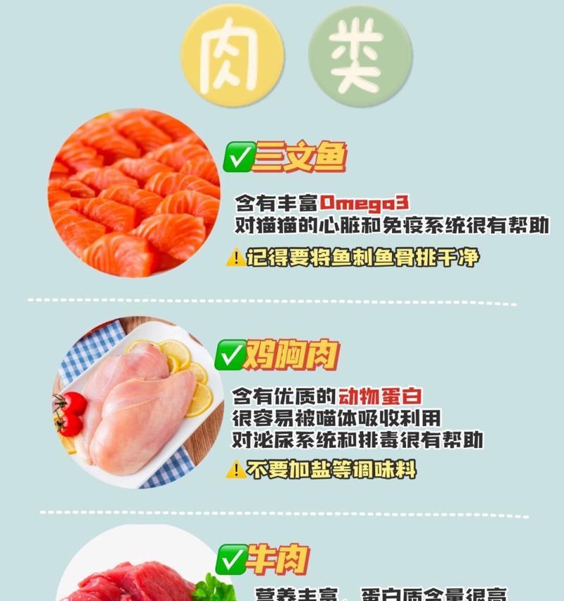 新手养猫喂食指南（猫咪饮食需求解析及喂食技巧，让宠物健康成长）