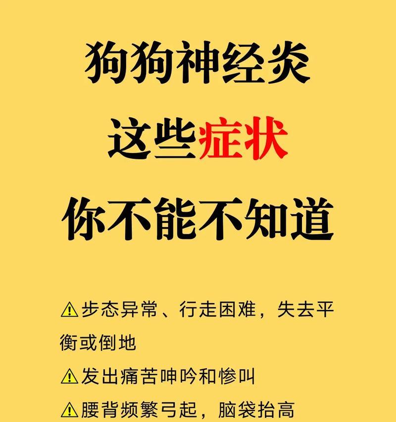 狗狗肠胃炎的原因及治疗措施（了解病因，有效治疗！）