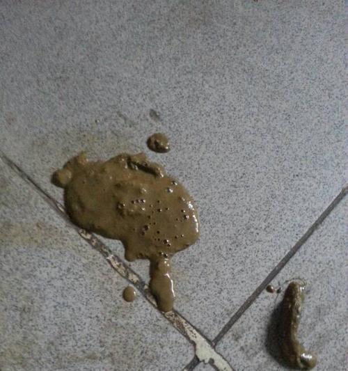 狗狗换粮后出现拉稀？原因与预防方法详解（探究狗狗换粮导致拉稀的原因，给出解决方法让狗狗顺利过渡）