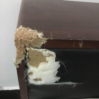 如何纠正金毛咬主人的行为？（宠主需要采取的措施和方法）