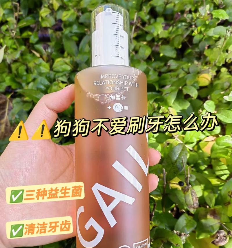 狗狗口臭刷牙不见效？可能是疾病引发！（清洁不到位还是疾病到来了？如何解决狗狗口臭问题）