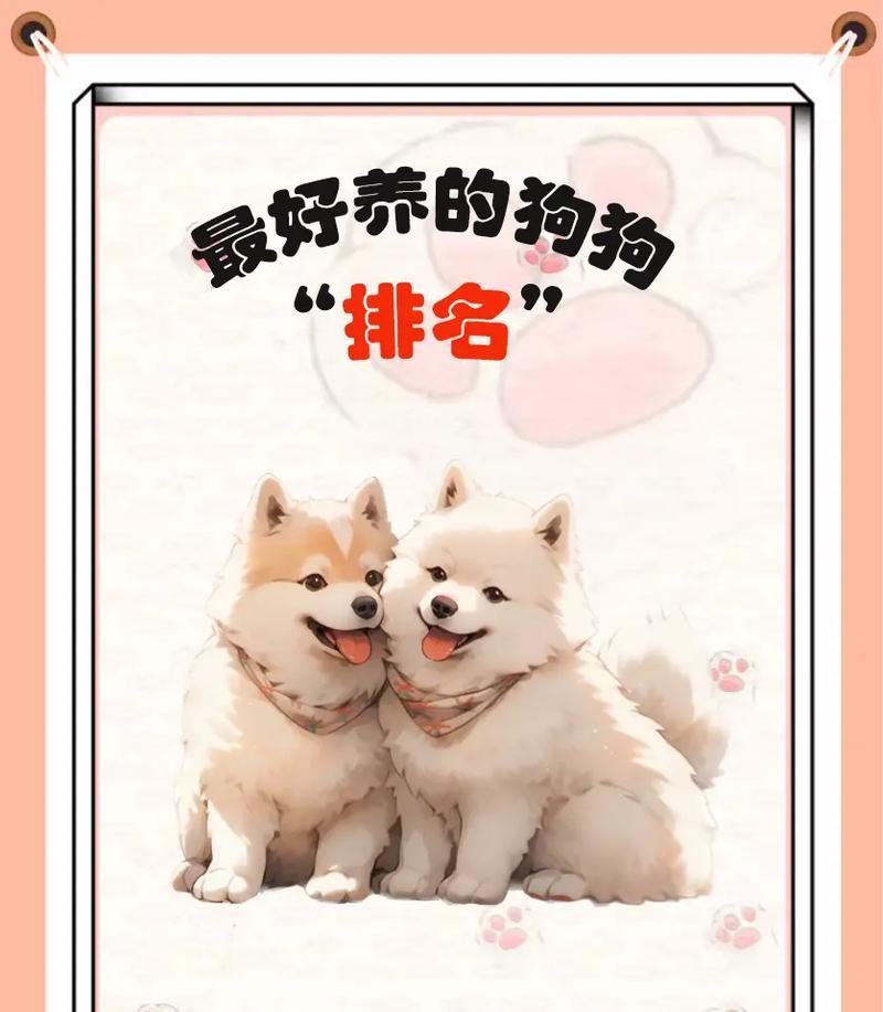 中国人最爱养的狗狗10大排名——中华田园犬登顶（中华田园犬的魅力与特点，中国人为何钟爱之）