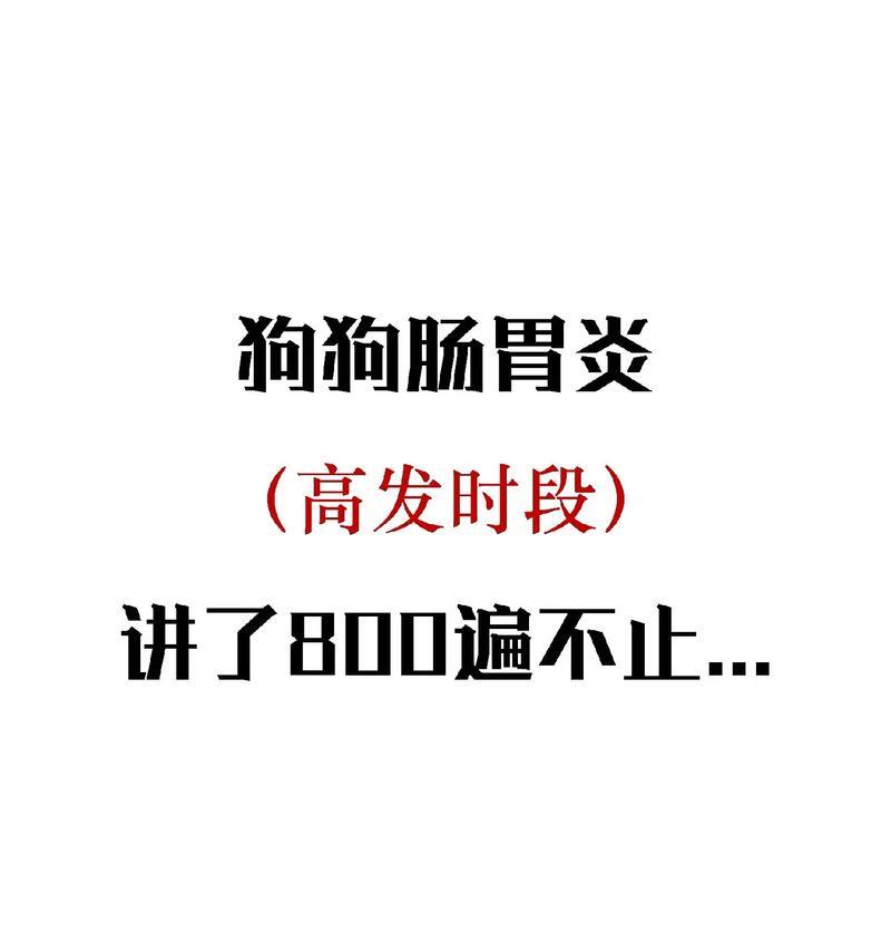 狗狗肠胃炎应该吃什么食物？（为你的宠物提供安全和健康的食物选择）
