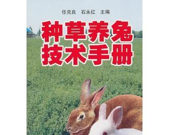 选择适合养兔子的最佳牧草（哪种牧草是最佳选择？我会如何选择？）