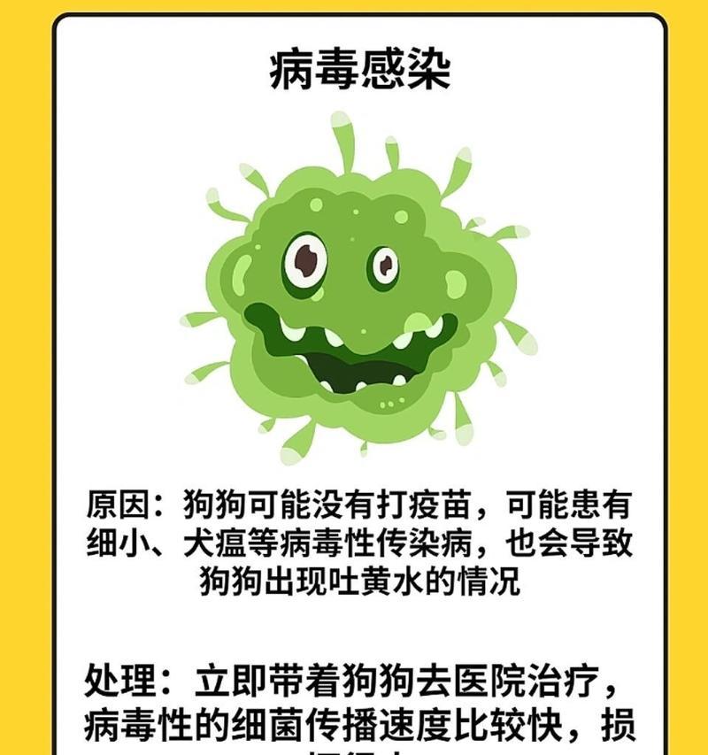 狗狗呕吐黄水粘液的原因（了解狗狗呕吐黄水粘液的可能病因和处理方法）