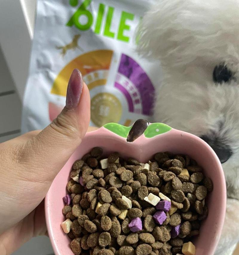如何解决狗狗挑食问题？寻找适口性好的狗粮！（专治狗狗挑食狗粮推荐，让你的狗狗爱上吃饭！）