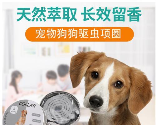 家里有狗，如何选择合适的驱蚊产品（给爱犬选择安全有效的驱蚊方式，让家中更舒适）