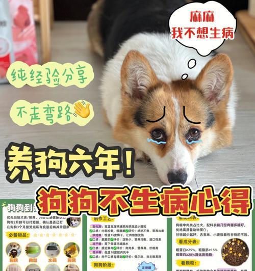 幼犬感冒注意事项（如何帮助幼犬应对感冒）