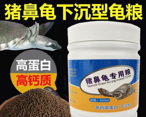 揭秘猪鼻子龟的饮食习惯（了解这些让宠物健康成长，你是它们的好管家！）