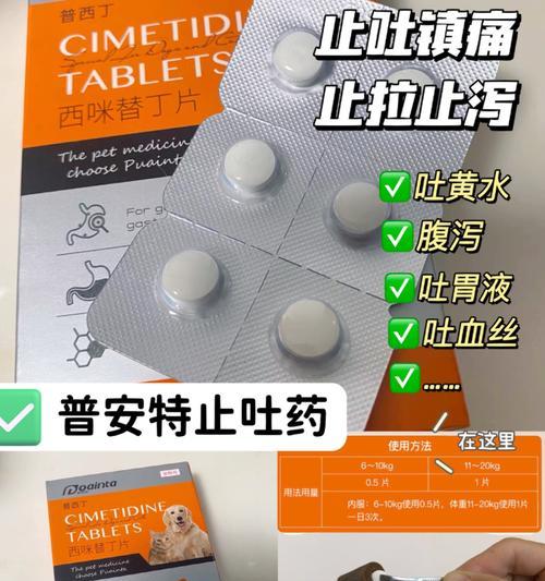 小柯基拉稀的原因及治疗方法（了解小柯基拉稀症状及选择合适的药物治疗）