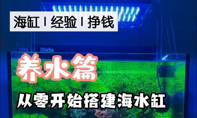 如何正确刷洗海水缸（关键步骤及注意事项）