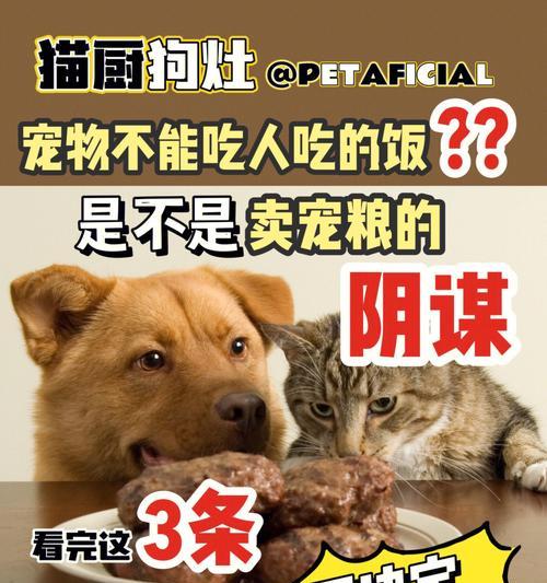 狗狗适合不泡狗粮吃的时间（了解狗狗饮食习惯，给予恰当饮食）