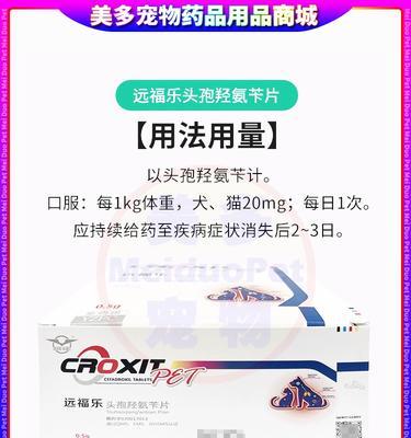犬皮肤病的治疗及药物推荐（解决宠物狗皮肤问题的好帮手，药物选择和使用技巧一览）