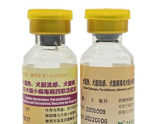 细小治疗药物指南（了解狗狗细小，选择适合的治疗药物）