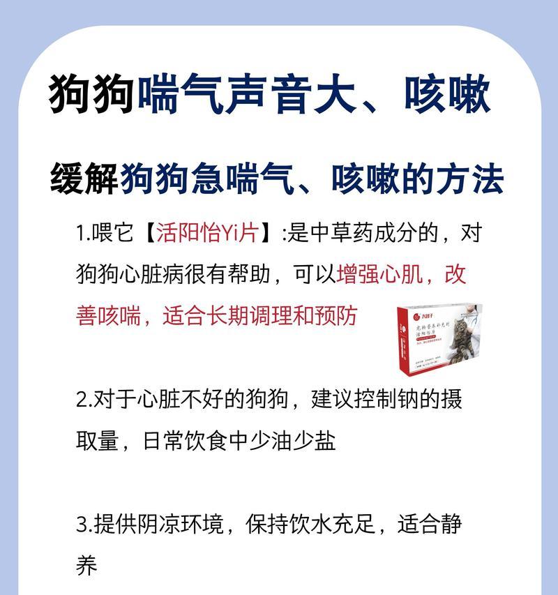 小狗咳嗽怎么办？（喂养是关键）