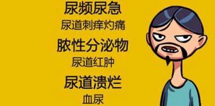 母狗尿道炎——疾病的预防与治疗（了解尿道炎症状，保护我们的母狗健康）