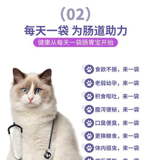 狗狗积食（了解狗狗积食的迹象，及时采取措施保护它们的健康）