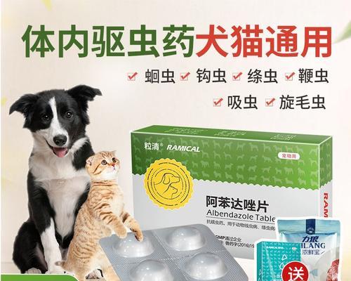 狗狗驱除绦虫的最佳药品选择（了解并选择最适合你的宠物的驱虫药物）