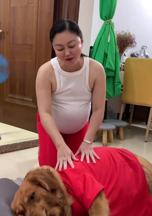 金毛洗澡的注意事项（如何正确给金毛洗澡，让它健康快乐地度过洗澡时间）