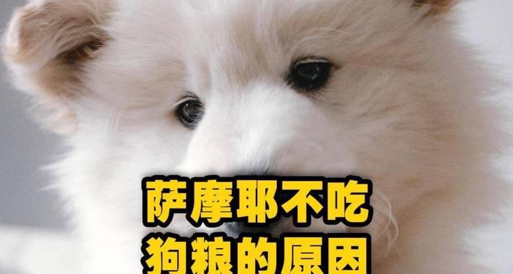 以萨摩耶狗为什么会吃草？（探究以萨摩耶狗吃草的原因及影响）