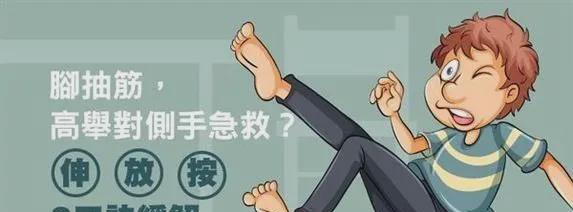 狗狗突然抽筋的原因及处理方法（狗狗抽筋可能是什么引起的，该如何应对）