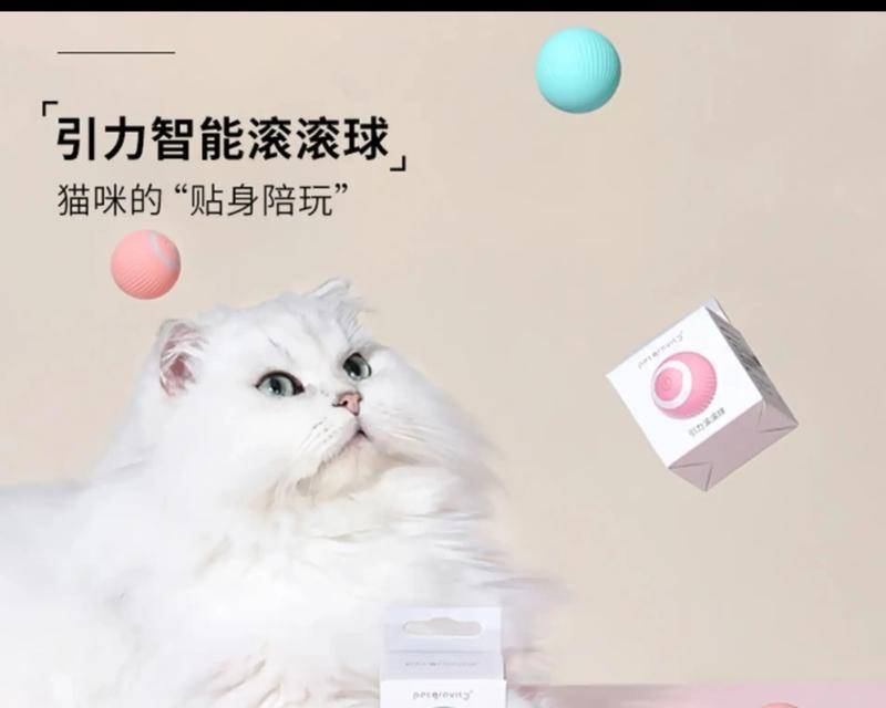 猫喜欢玩什么自制玩具？（发掘猫咪们的喜好与创造力——一起动手做自制猫玩具！）