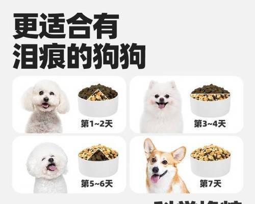 如何选择适合3个月柯基的狗粮？（提供全面营养，健康成长是关键）