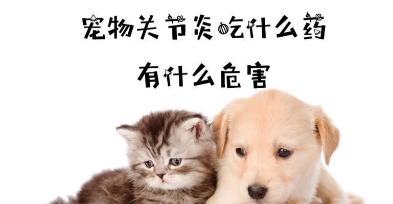 药物辅助让狗狗恢复食欲（解决狗狗食欲不振的有效方法）
