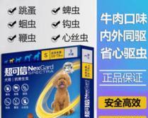 如何有效去除狗狗身上的螨虫（探索最有效的药物治疗方法）