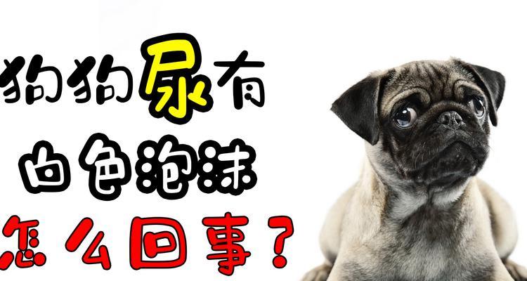 为什么狗狗尿量过多？（探究狗狗尿量过多的原因及解决方法）