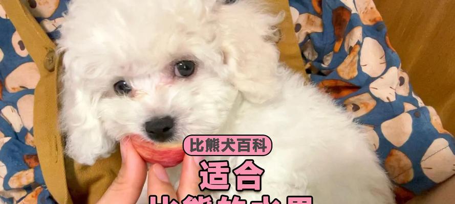 小心！这些水果对狗狗有毒（了解狗狗不能吃的水果，守护它们的健康）