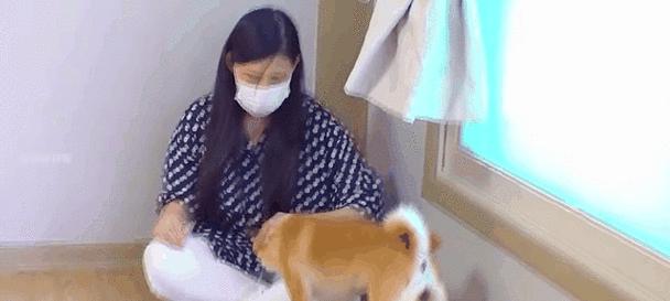 狗狗突然喊叫的原因是什么？（揭秘狗狗喊叫背后的隐情）