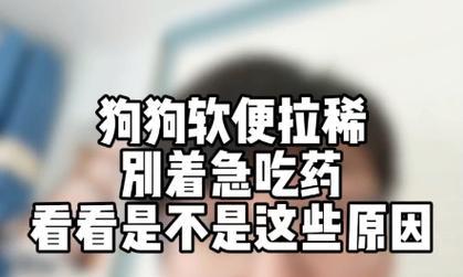 小狗为什么会拉肚子？（探究小狗拉肚子的原因与解决方法）
