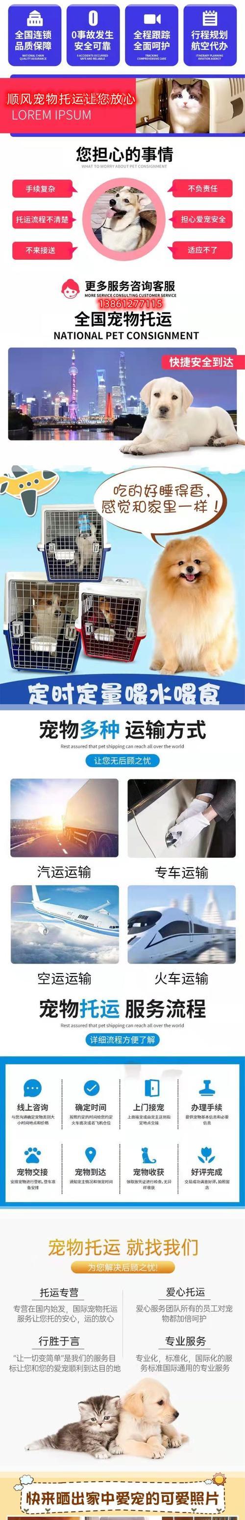汽车托运猫咪的必备知识（关于汽车托运猫咪的准备工作和注意事项）