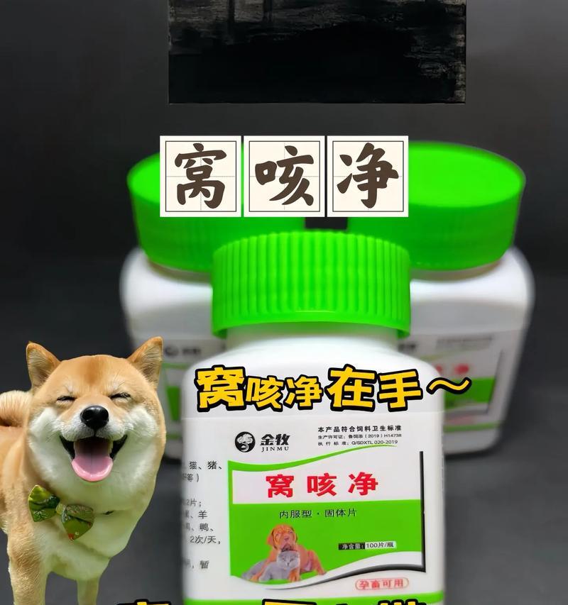 狗狗为什么总是干呕不吃东西？（探寻干呕不食的原因及应对方法）