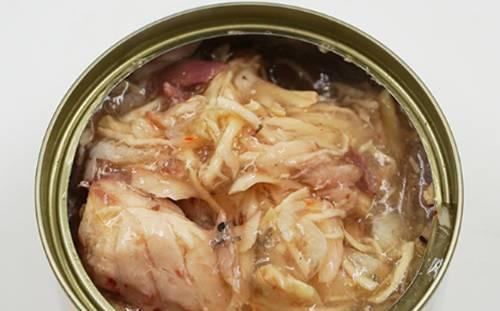 猫咪受伤后的饮食护理（如何选择适合受伤猫咪的饮食及注意事项）