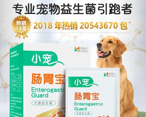 泰迪肠胃不适，用什么药好？（有效缓解泰迪肠胃问题的药物推荐及使用方法）