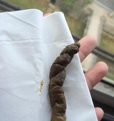 泰迪狗肠胃不好吃什么水果好（关爱泰迪宠物健康，正确选择适合的水果是关键）