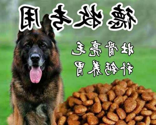 以德牧幼犬没狗粮吃怎么办？（从自制食物到替代品，教你科学喂养德牧幼犬）