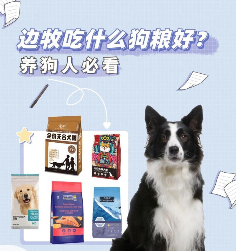 边牧生产前的合理饮食安排（为您的边牧宝宝提供健康成长所需）